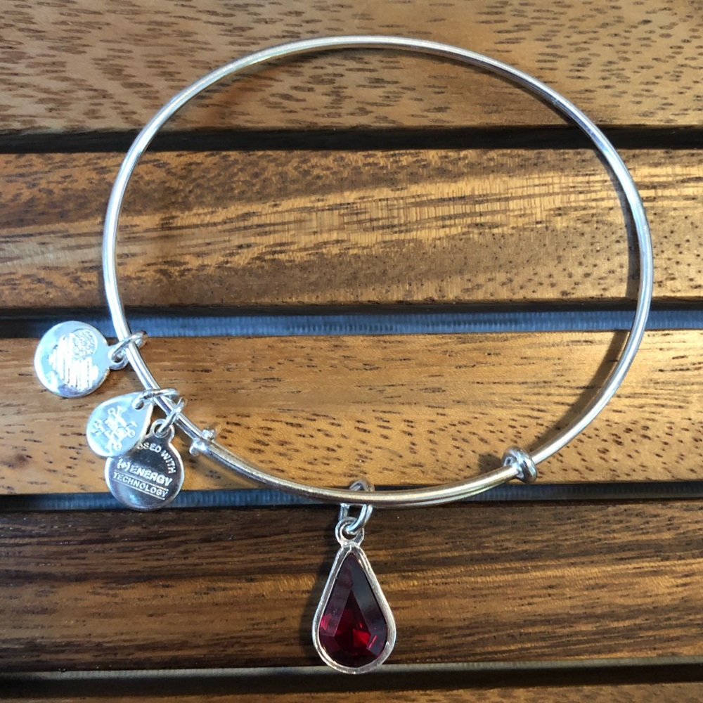 Alex and Ani “January Birthstone” Bangle